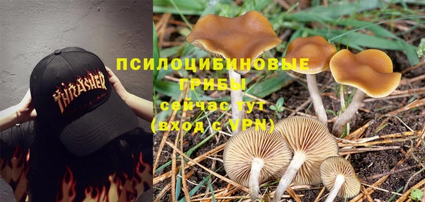 синтетический гашиш Балахна