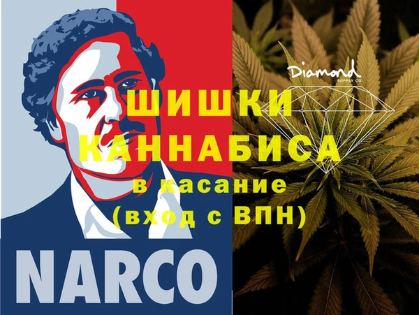 сатива Богородицк