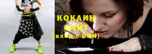 ECSTASY Бородино