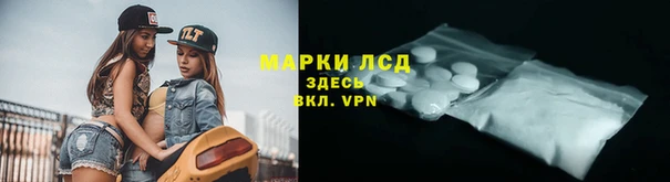 сатива Богородицк
