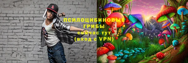 мдпв Балабаново