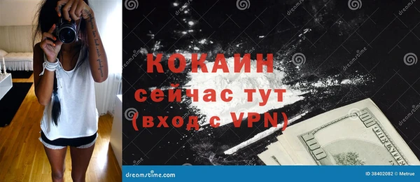 сатива Богородицк