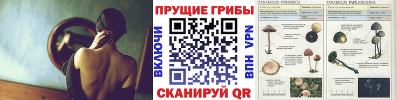 Галлюциногенные грибы GOLDEN TEACHER  как найти закладки  Великие Луки 