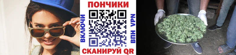 Конопля ГИДРОПОН  Великие Луки 